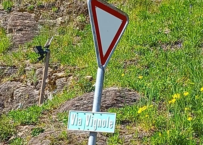 Апартаменты Casa Angela Orselina